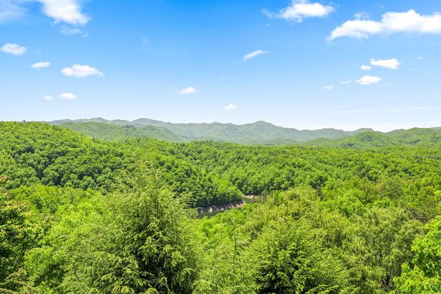 167 Wild Orchid Trail, Bryson City, NC 28713