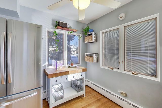 1015 FRANCES Parkway, Park Ridge, IL 60068