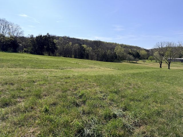 0 Ben Green Rd, Lebanon, TN 37090