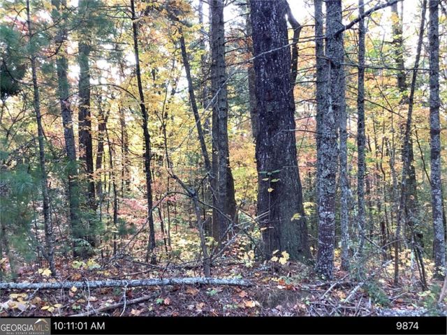 0 Andros Court, Ellijay, GA 30540