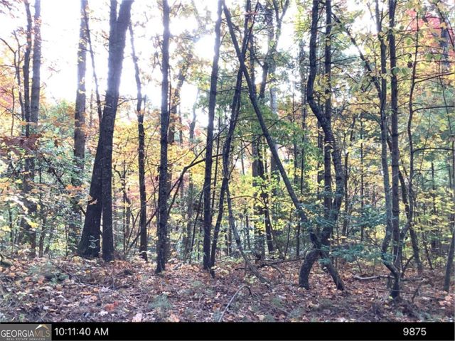 0 Andros Court, Ellijay, GA 30540