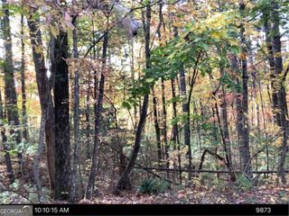0 Andros Court, Ellijay, GA 30540