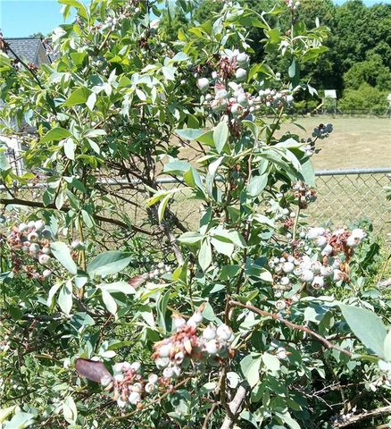 1109 Larkspur Drive, Locust Grove, GA 30248