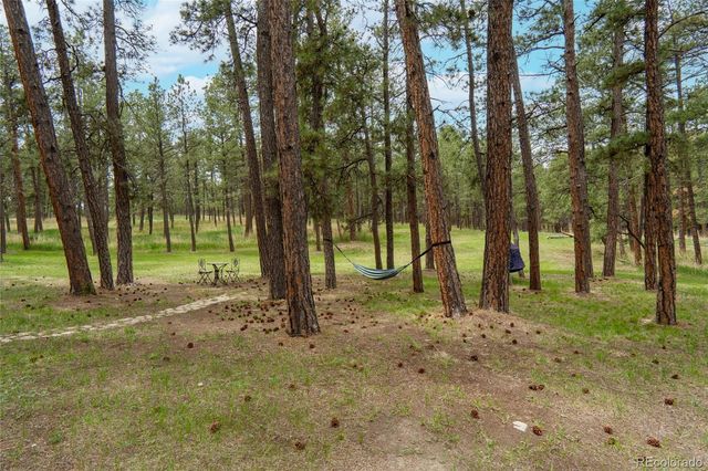 4719 Beaver Ridge, Elbert, CO 80106