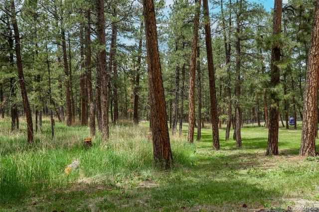 4719 Beaver Ridge, Elbert, CO 80106