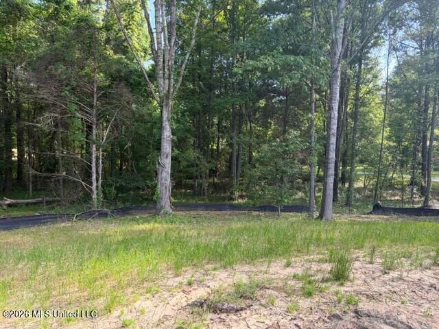 112 Crosswind Drive, Flora, MS 39071