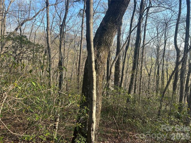 Lot 301 Cardinal Road 301, Lake Lure, NC 28746
