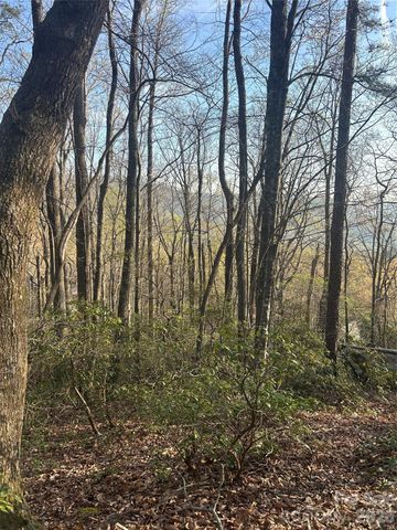 Lot 301 Cardinal Road 301, Lake Lure, NC 28746