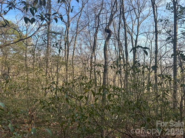 Lot 301 Cardinal Road 301, Lake Lure, NC 28746