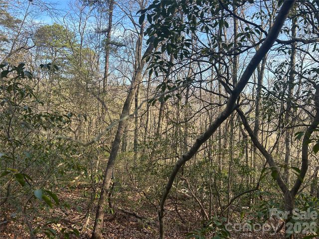 Lot 301 Cardinal Road 301, Lake Lure, NC 28746