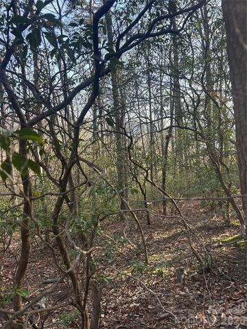 Lot 301 Cardinal Road 301, Lake Lure, NC 28746