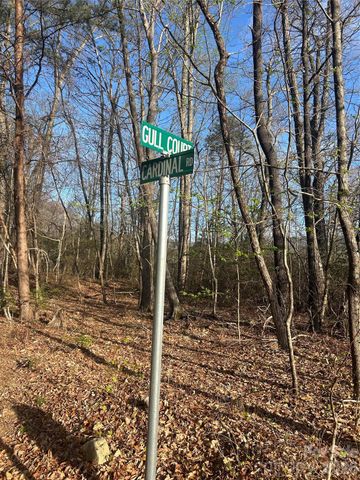 Lot 301 Cardinal Road 301, Lake Lure, NC 28746