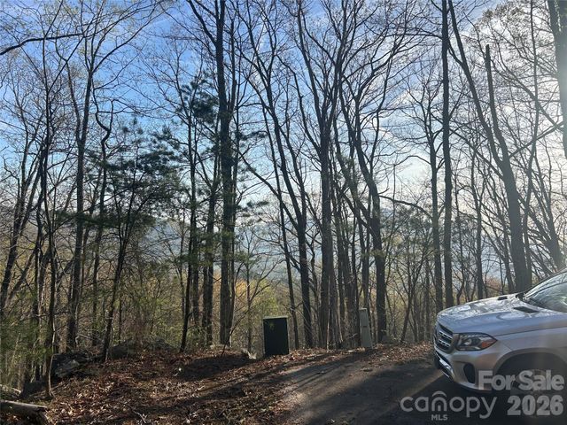 Lot 301 Cardinal Road 301, Lake Lure, NC 28746