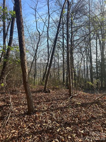 Lot 301 Cardinal Road 301, Lake Lure, NC 28746