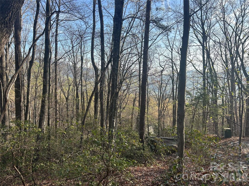Lot 301 Cardinal Road 301, Lake Lure, NC 28746