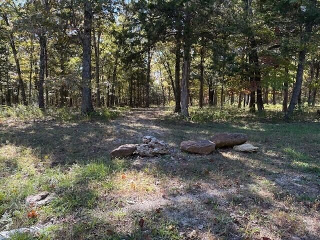 280 Millwood Drive, Reeds Spring, MO 65737