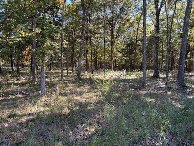 280 Millwood Drive, Reeds Spring, MO 65737