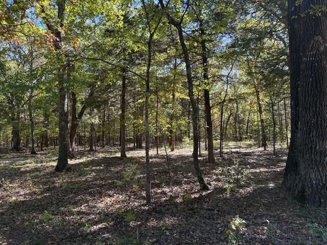 280 Millwood Drive, Reeds Spring, MO 65737