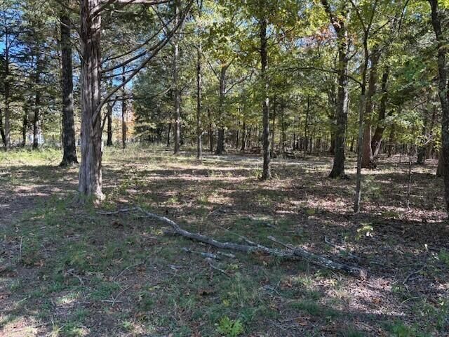 280 Millwood Drive, Reeds Spring, MO 65737