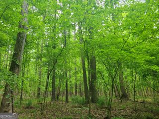 0 Fincherville Road TRACT #2, Jackson, GA 30233