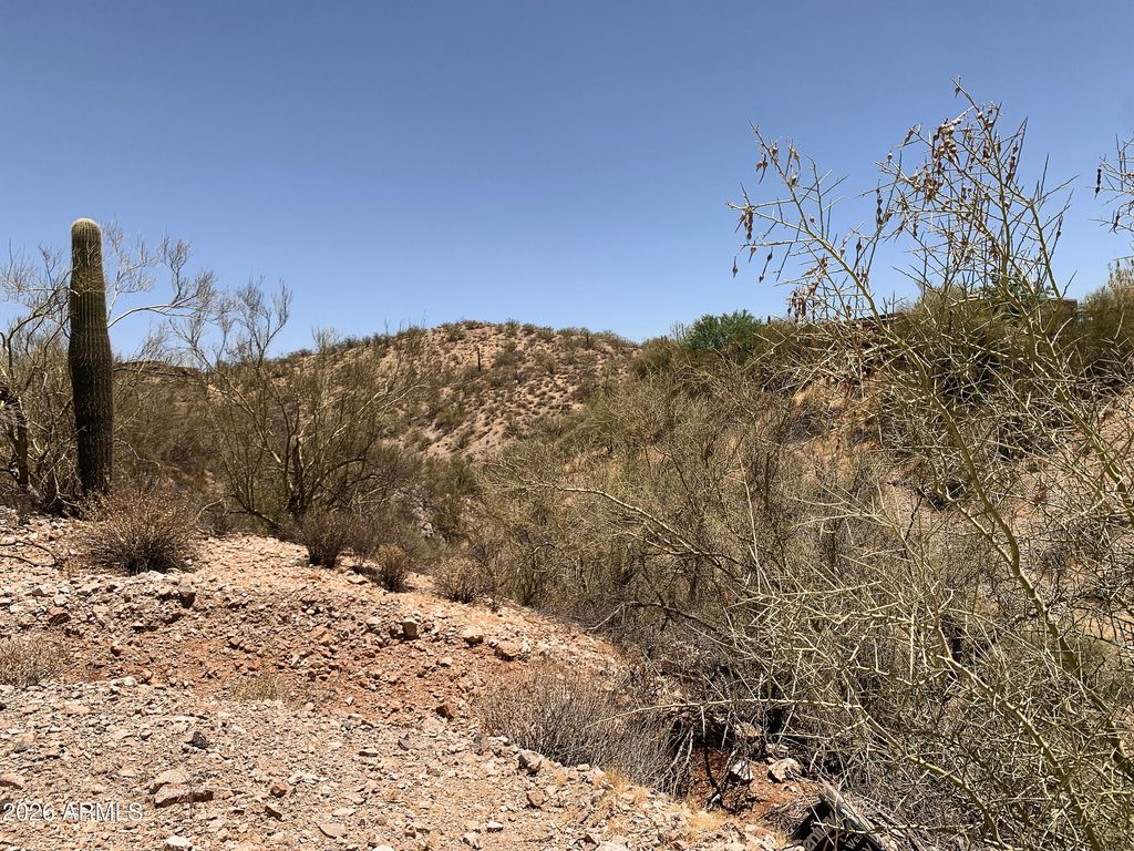 516XX N Mockingbird Road -, Wickenburg, AZ 85390 — photo 2