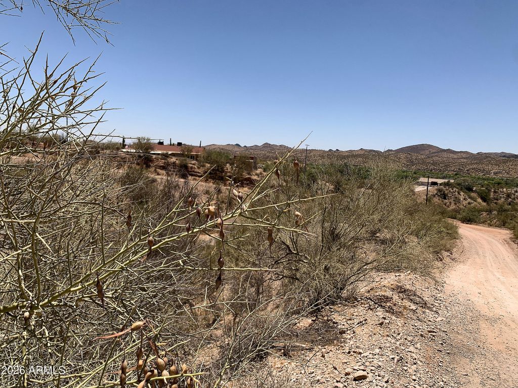 516XX N Mockingbird Road -, Wickenburg, AZ 85390 — photo 5