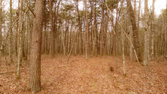 1188 Timberwood Trce, Monteagle, TN 37356