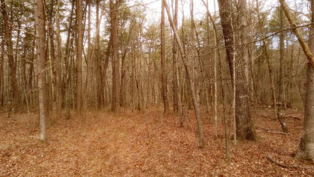 1188 Timberwood Trce, Monteagle, TN 37356