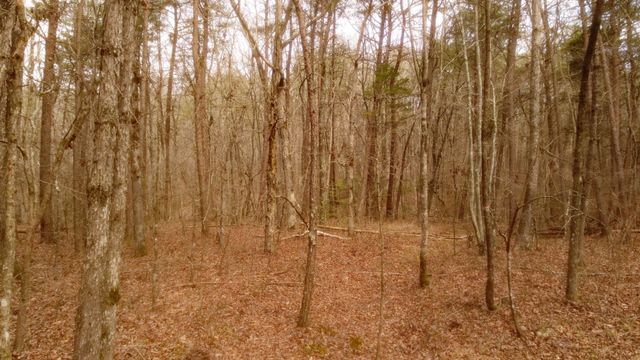 1188 Timberwood Trce, Monteagle, TN 37356