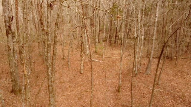 1188 Timberwood Trce, Monteagle, TN 37356