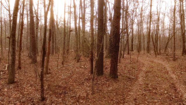 1188 Timberwood Trce, Monteagle, TN 37356