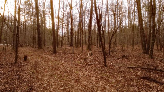 1188 Timberwood Trce, Monteagle, TN 37356