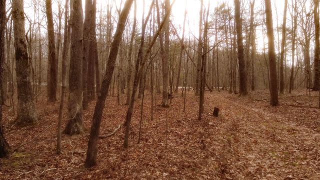 1188 Timberwood Trce, Monteagle, TN 37356