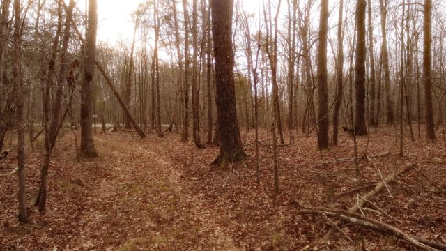 1188 Timberwood Trce, Monteagle, TN 37356