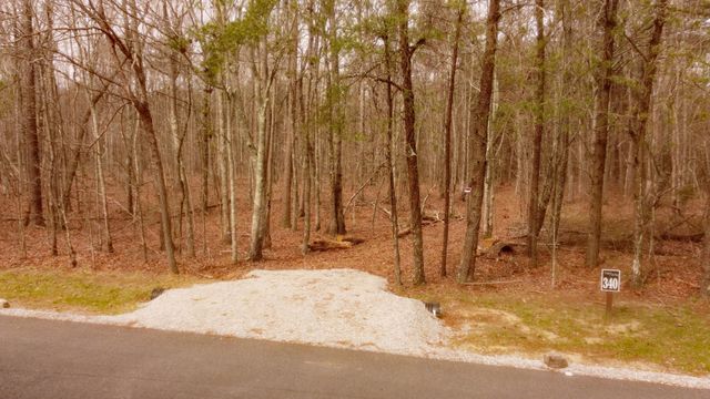 1188 Timberwood Trce, Monteagle, TN 37356