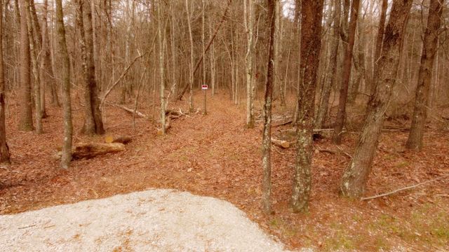 1188 Timberwood Trce, Monteagle, TN 37356