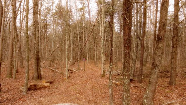 1188 Timberwood Trce, Monteagle, TN 37356