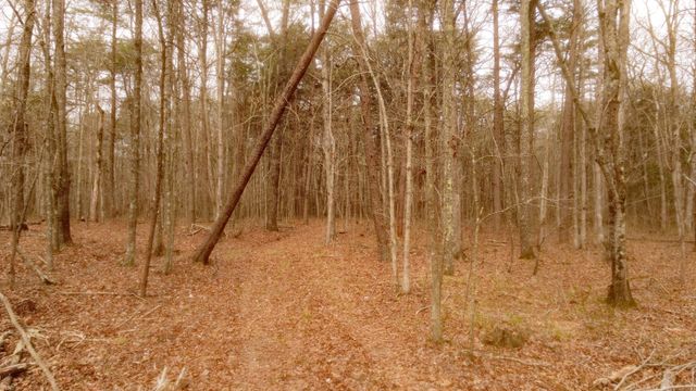 1188 Timberwood Trce, Monteagle, TN 37356