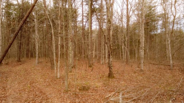 1188 Timberwood Trce, Monteagle, TN 37356