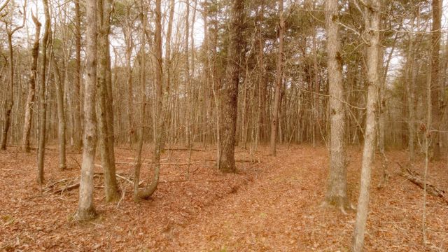 1188 Timberwood Trce, Monteagle, TN 37356