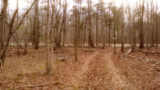 1188 Timberwood Trce, Monteagle, TN 37356