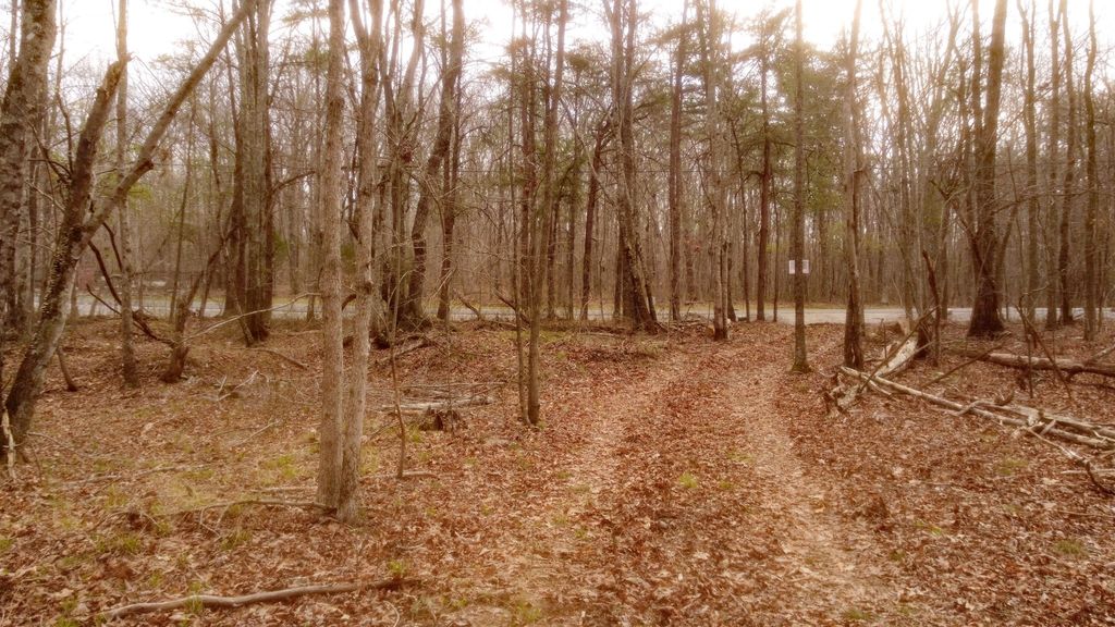 1188 Timberwood Trce, Monteagle, TN 37356
