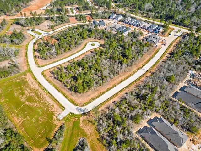 26356 Golden Pass Loop, Montgomery, TX 77316