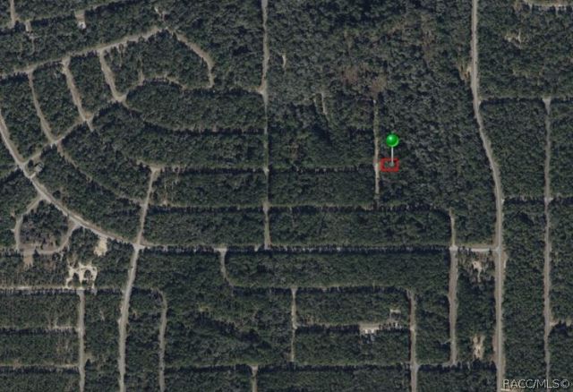 9409 N Agar Terrace, Citrus Springs, FL 34434