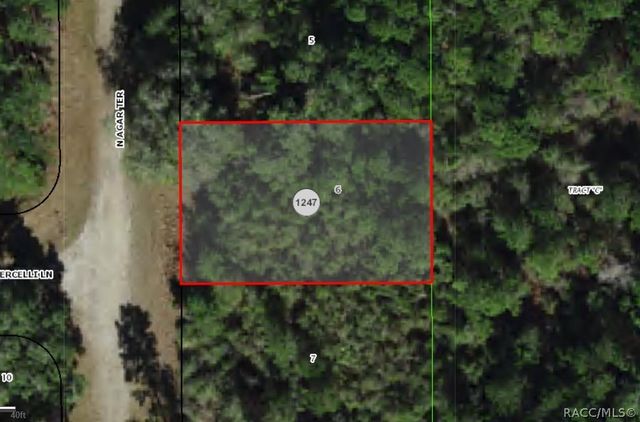 9409 N Agar Terrace, Citrus Springs, FL 34434