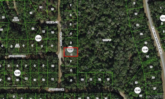 9409 N Agar Terrace, Citrus Springs, FL 34434