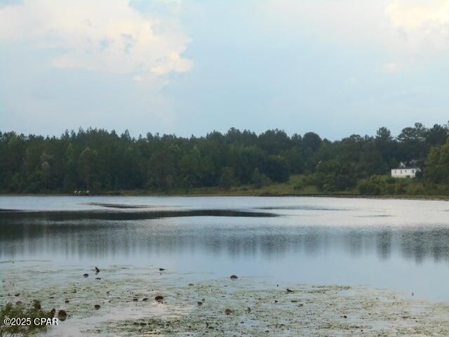000 Drury Lane, Alford, FL 32420
