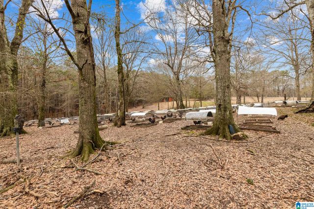 814 DEER TRACE ROAD, Pell City, AL 35125