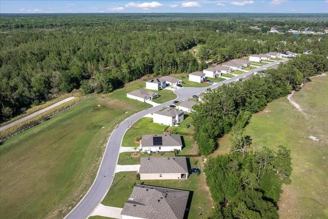 160 HICKORY COURSE LOOP, Ocala, FL 34472