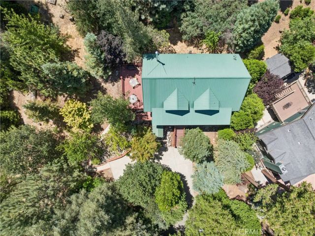 29729 Katharine Way, Cedar Glen, CA 92321